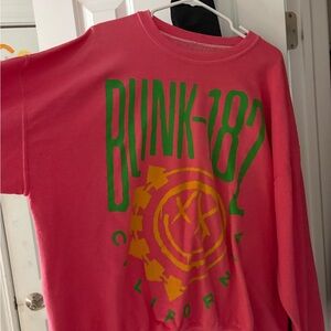 Urban Outfitters Pink Graphic Sweatshirt